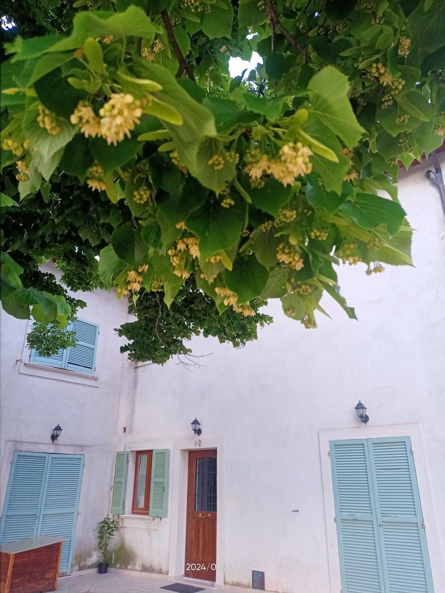 Agriturismo San Martino Foligno Dış mekan fotoğraf