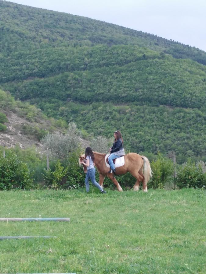 Agriturismo San Martino Foligno Dış mekan fotoğraf