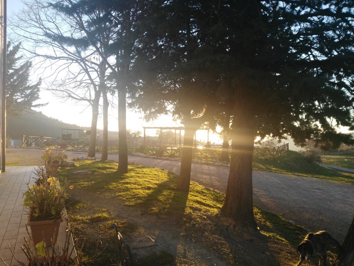 Agriturismo San Martino Foligno Dış mekan fotoğraf