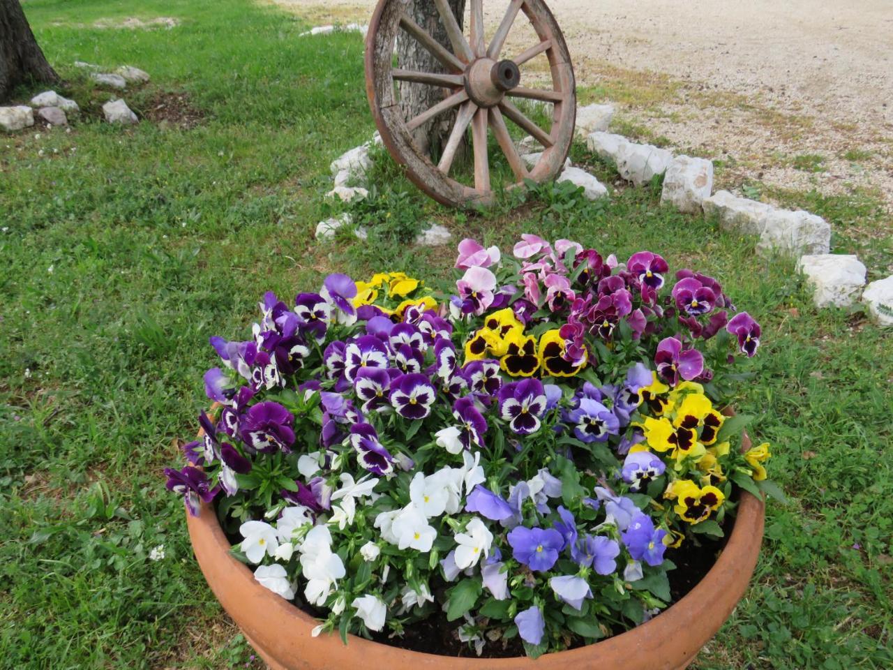 Agriturismo San Martino Foligno Dış mekan fotoğraf