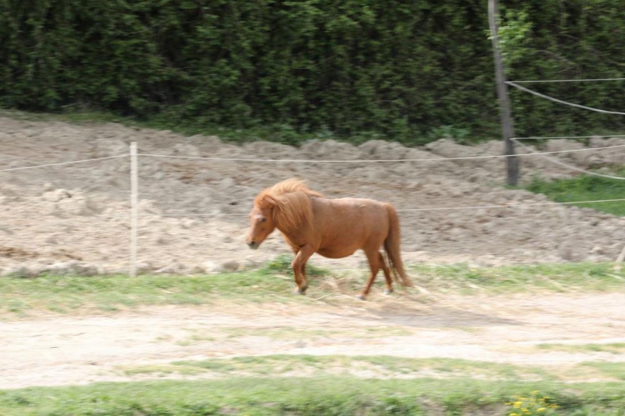 Agriturismo San Martino Foligno Dış mekan fotoğraf