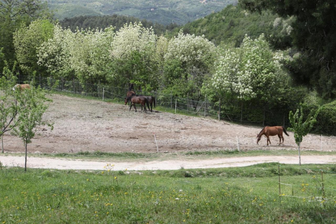 Agriturismo San Martino Foligno Dış mekan fotoğraf