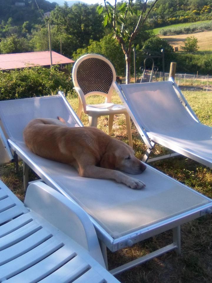 Agriturismo San Martino Foligno Dış mekan fotoğraf