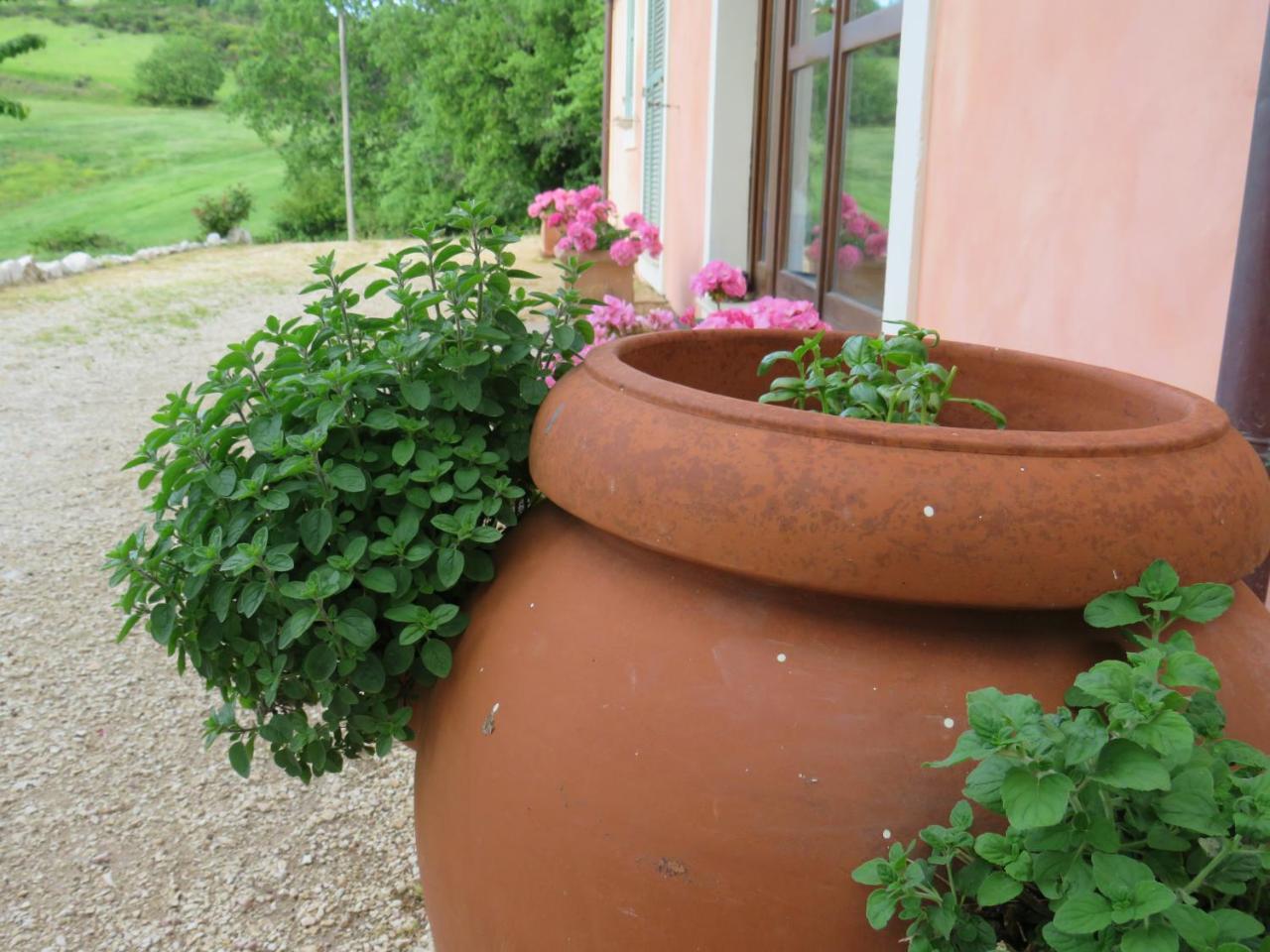 Agriturismo San Martino Foligno Dış mekan fotoğraf